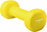 Гантель Sundays Fitness LKDB-504A (2кг) Гантель Sundays Fitness LKDB-504A (2кг)