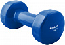 Гантель Sundays Fitness LKDB-504A (5кг)